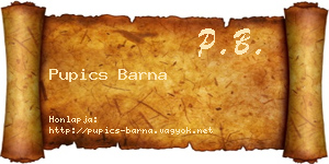 Pupics Barna névjegykártya