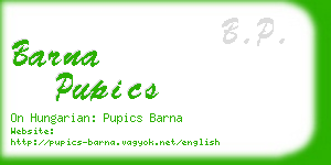 barna pupics business card